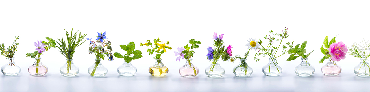 Ausbildung zum Diplomierten Aromaexperten
