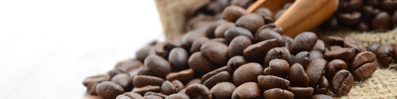 Kaffee-Experte Ausbildung
